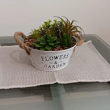 Serenity Iztok Lejlighed *