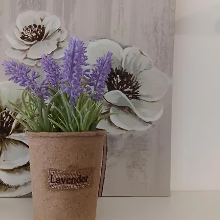 Serenity Iztok Sofía