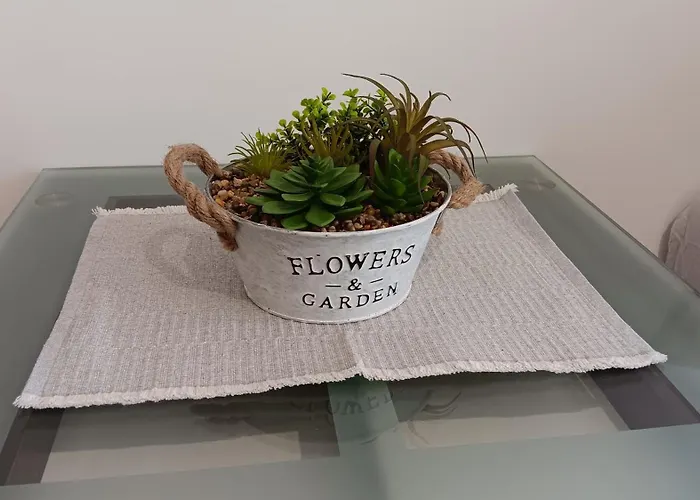 Serenity Iztok Daire *