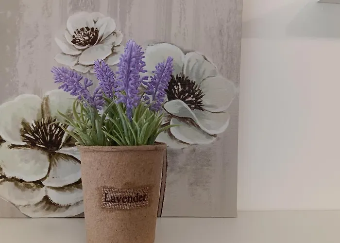 Serenity Iztok Sofia